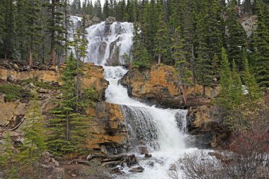 Tangle Creek Falls-Icefield Parkway, Alberta, Kanada
