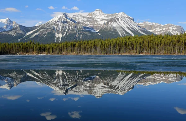 Mount Noblock Herbert Lake Icefield Parkway Alberta Canada — Foto Stock