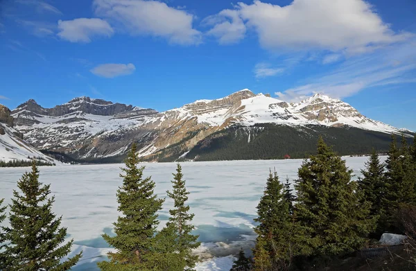 Bow Lake Icefield Parkway Alberta Canada — Stockfoto