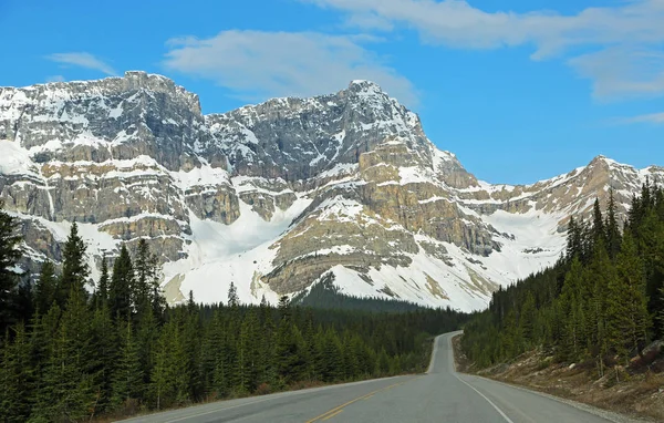 Waputik Berge Und Strasse Icefield Parkway Alberta Canada — Stockfoto