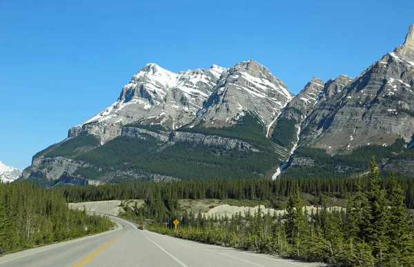 Icefield Parkway Ile Peyzaj Alberta Kanada — Stok fotoğraf