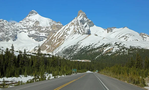 Pohled Ledovce Icefield Parkway Alberta Kanada — Stock fotografie