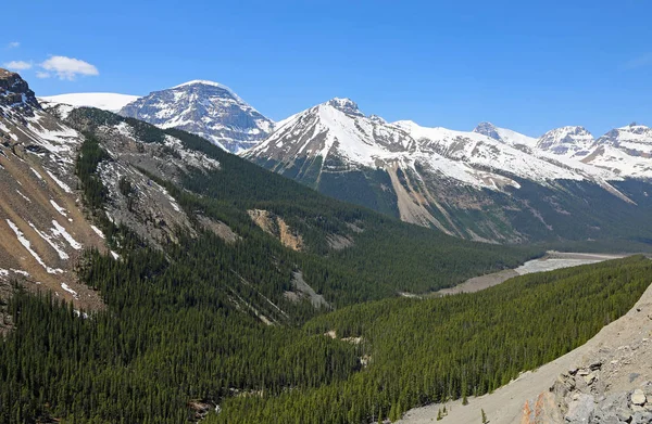 Valle Sunwapta Icefield Parkway Alberta Canadá —  Fotos de Stock