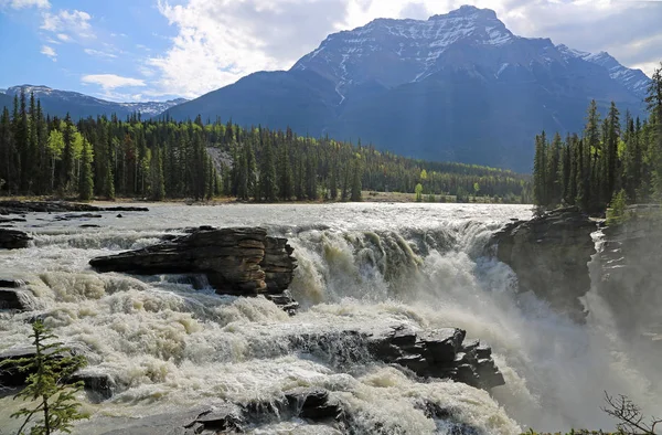 Athabasca Falls Alberta Kanada — Stock Fotó