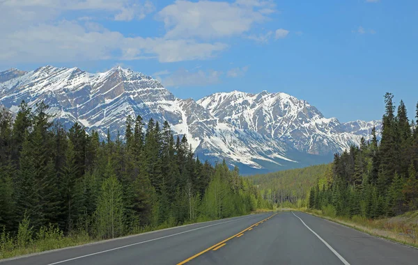 Icefield Parkway Alberta Kanada Ile Pastoral Manzara — Stok fotoğraf