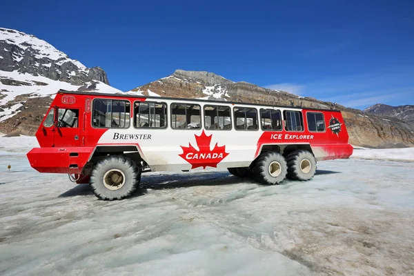 Glacier araç-Columbia Icefield, Jasper Ulusal Parkı, Alberta, Kanada