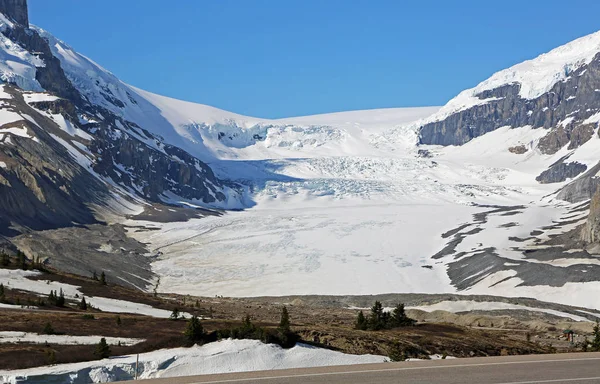 Glaciar Athabasca Columbia Icefield Jasper National Park Alberta Canadá —  Fotos de Stock