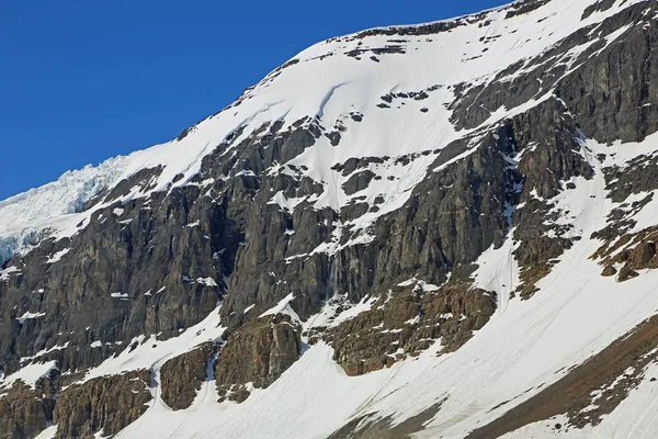 Mount Athabasca Klippen Columbia Eisfeld Jaspis Nationalpark Alberta Kanada — Stockfoto