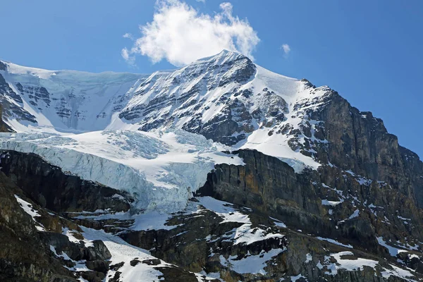 Mount Athabasca Glacier Columbia Icefield Jasper National Park Alberta Canada — Stock Photo, Image