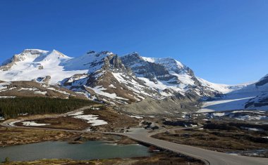 Area Athabasca-Columbia Icefield, Jasper Ulusal Parkı, Alberta, Kanada