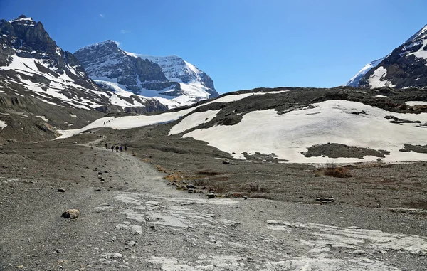 Der Weg Zum Athabasca Glacier Columbia Icefield Jaspis Nationalpark Alberta — Stockfoto