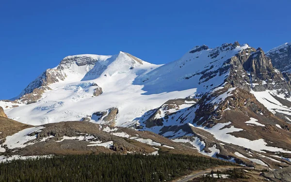 View Mount Athabasca Columbia Icefield Park Narodowy Jasper Alberta Kanada — Zdjęcie stockowe