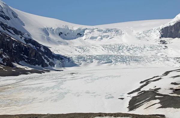 Вид Терміналу Moraine Льодовика Атабаска Columbia Icefield Національний Парк Джаспер — стокове фото