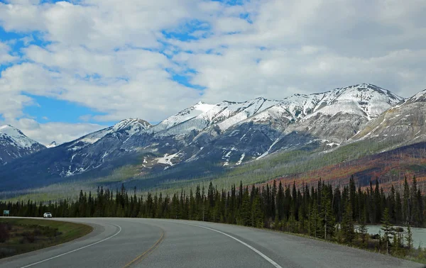 Kootenay Ulusal Parkı'nda yanmış tepe, British Columbia, Kanada