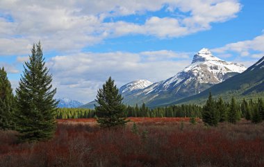 Pilot Dağı ile Peyzaj - Banff Ulusal Parkı, Alberta, Kanada