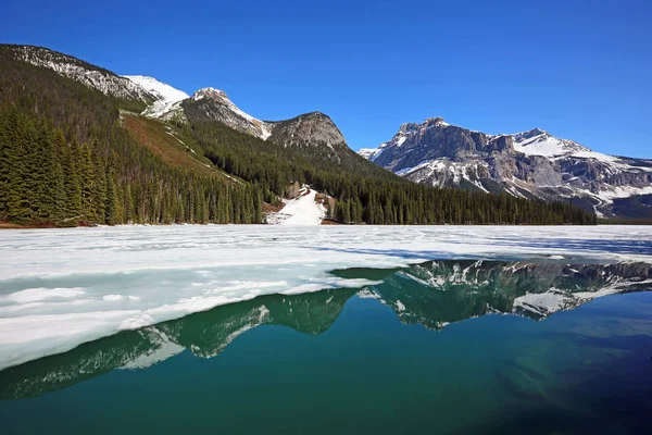 Panorama Emerald Lake Park Narodowy Yoho Kolumbia Brytyjska Kanada — Zdjęcie stockowe