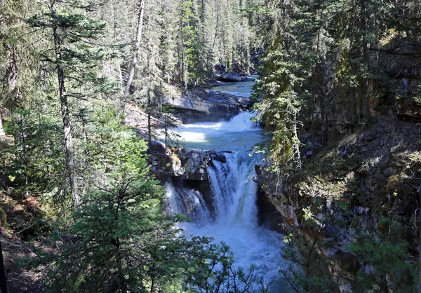 Şelaleler Johnston Creek Johnston Kanyon Banff National Park Alberta Amerika — Stok fotoğraf