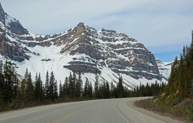 Waputik Aralığı ve eğri - Icefield Parkway, Alberta, Kanada