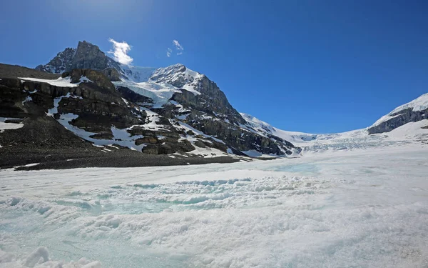 Mount Athabasca Athabasca Glacier Jasper National Park Alberta Canadá — Fotografia de Stock