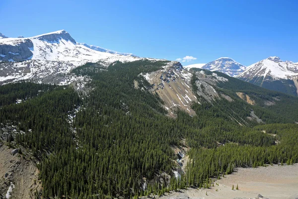 Sunwapta Valley Jasper Nationaal Park Alberta Canada — Stockfoto