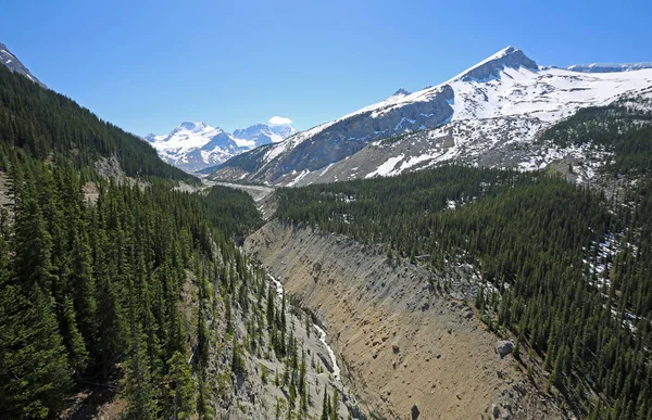 Paisaje Con Valle Sunwapta Parque Nacional Jasper Alberta Canadá —  Fotos de Stock