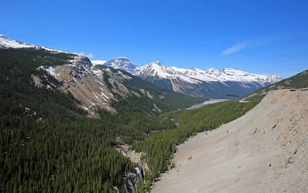 Panorama Com Sunwapta Valley Jasper National Park Alberta Canadá — Fotografia de Stock