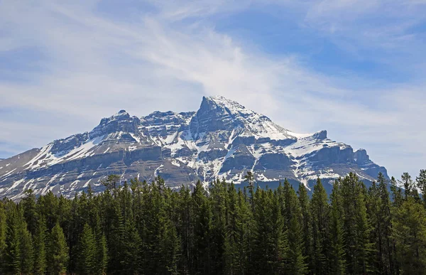 Mount Murchison Banff National Park Alberta Canadá — Fotografia de Stock