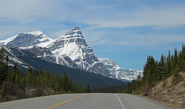 Pirámide Blanca Monte Chephren Alberta Canadá — Foto de Stock