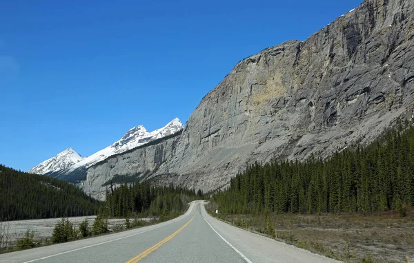 Icefield Parkway Weeping Wall Alberta Canadá — Fotografia de Stock