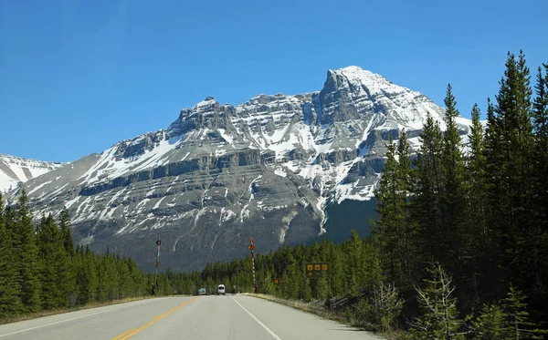 Δρόμος Και Όρος Μέρτσισον Πάρκγουεϊ Αλμπέρτα Καναδάς — Φωτογραφία Αρχείου