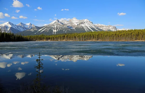 Mount Niblock Park Narodowy Banff Alberta Kanada — Zdjęcie stockowe