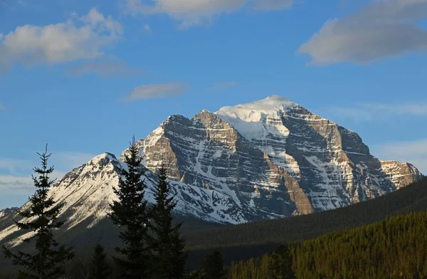 Gün doğumunda Mt Tapınağı - Alberta, Kanada