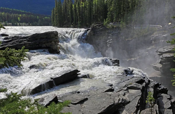 Athabasca Falls Jasper Ulusal Parkı Alberta Kanada — Stok fotoğraf