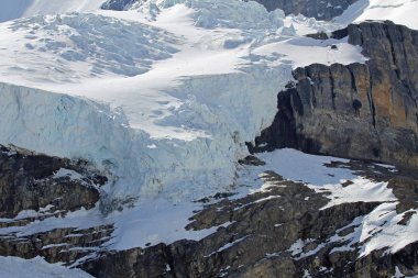 Asılı buzul - Columbia Icefield, Alberta, Kanada