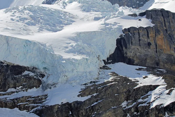 Hängande Glaciär Columbia Icefield Alberta Kanada — Stockfoto