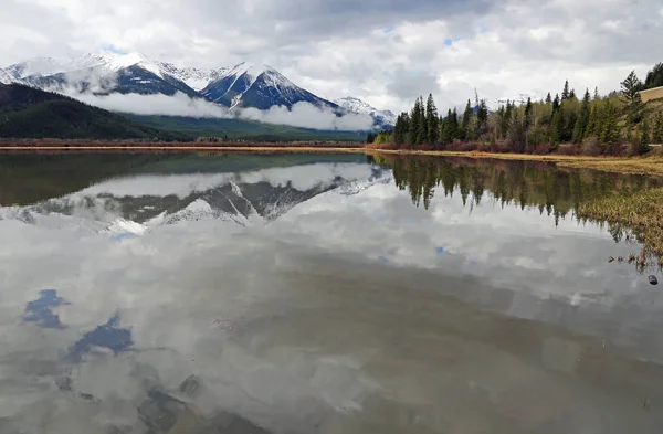 Szczyt Sundance Drzew Banff National Park Alberta Kanada — Zdjęcie stockowe