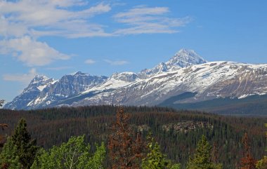 Mount Edith Cavell - Jasper Ulusal Parkı,Alberta, Kanada'da görüntüle