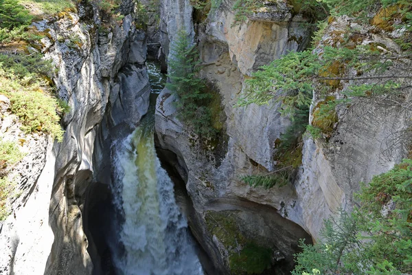 Водопад Каньоне Малинье Национальный Парк Джаспер Альберта Канада — стоковое фото