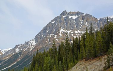 Kayalık kayalıklar ve yeşil ağaçlar - Banff Ulusal Parkı, Alberta, Kanada