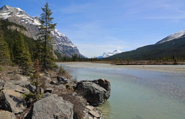 Sunwapta Nehri Üzerinde - Jasper Ulusal Parkı, Alberta, Kanada
