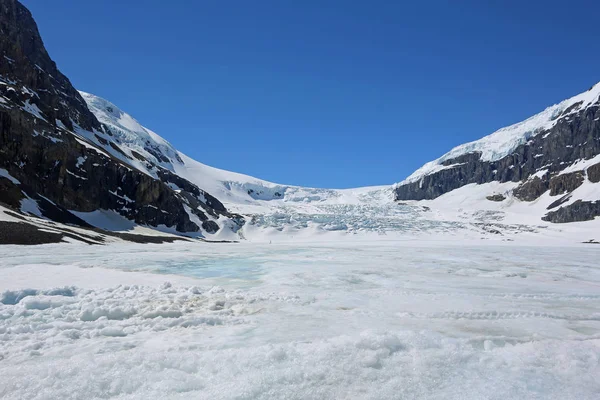 Льодовик Атабаска Національний Парк Джаспер Альберта Канада — стокове фото