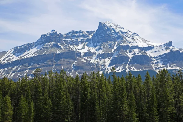 Mount Murchison Green Forest Alberta Canada — Stock Photo, Image