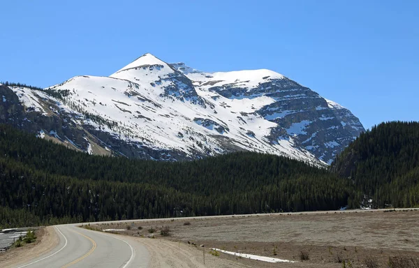 Big Bend Peak Icefield Parkway Jasper National Park Alberta Canada — Stock Photo, Image