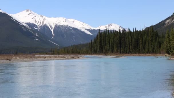 Sunwapta Jasper Národní Park Alberta Kanada — Stock video