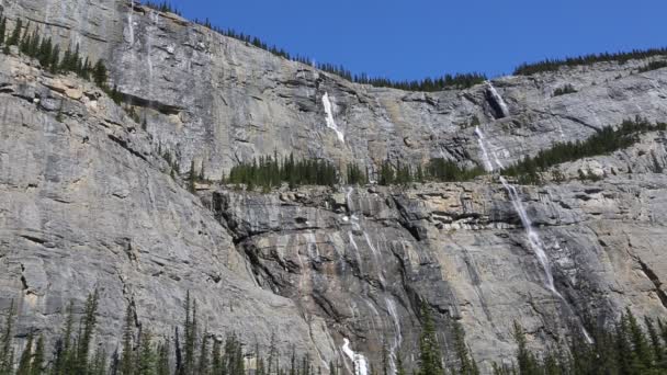 Płacząca Ściana Park Narodowy Jasper Alberta Kanada — Wideo stockowe