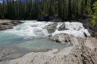 Kicking Horse River Şelaleler - Yoho Ulusal Parkı, Kanada