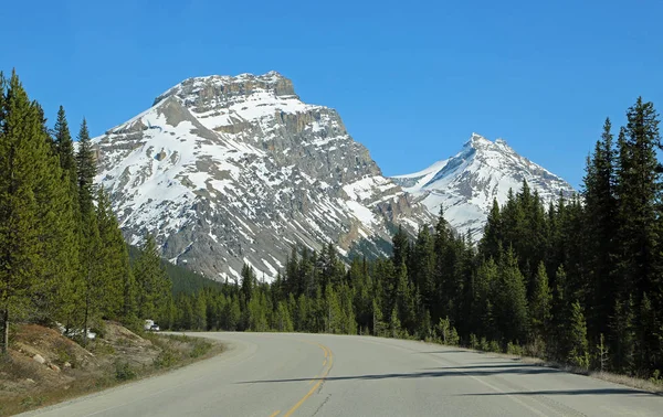 Curve Van Icefield Parkway Alberta Canada — Stockfoto