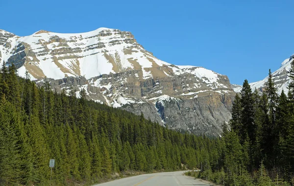 Montanhas Icefield Parkway Alberta Canadá — Fotografia de Stock