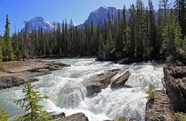 Természetes Híd Yoho National Park Kanada — Stock Fotó