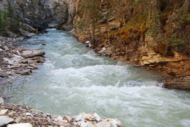 Johnston Creek - Banff Ulusal Parkı, Kanada